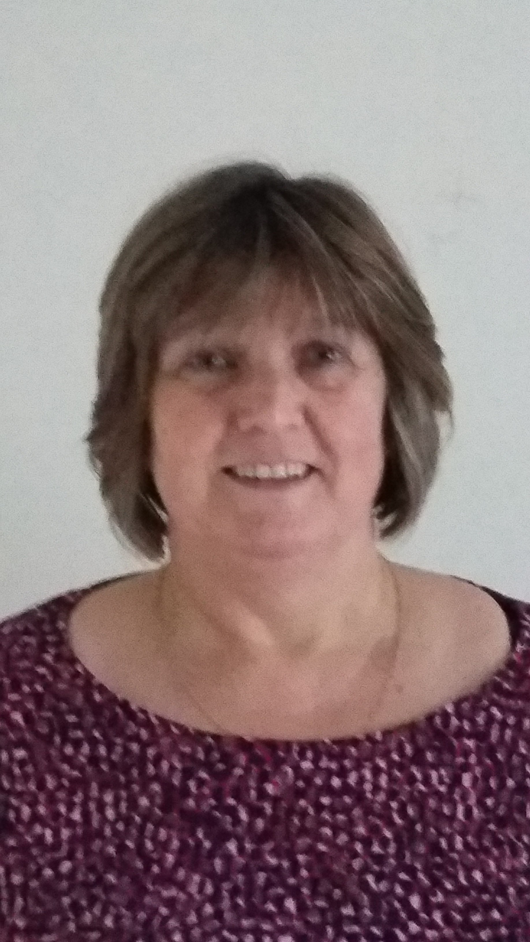 Lynn Briggs – Chair &amp; Continuing Professional Development